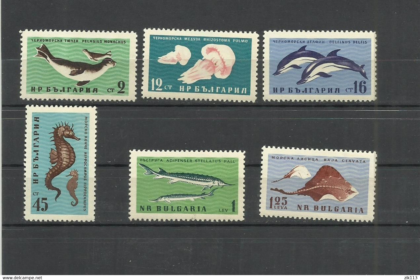 Bulgaria 1961 - Black Sea Marine Life, 1243/48, MNH - Ungebraucht