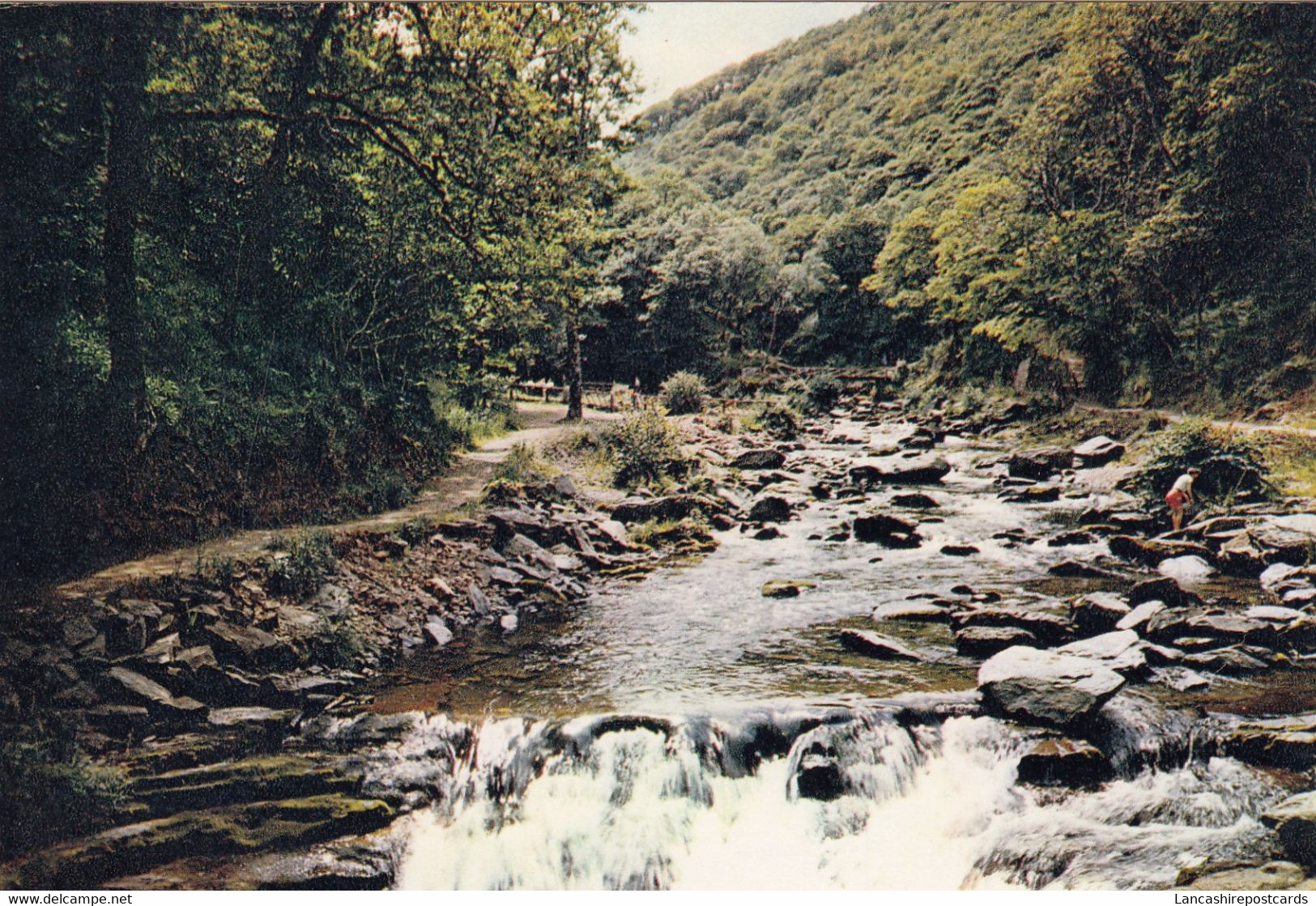 Postcard Watersmeet Valley North Devon Nr Lynmouth And Lynton My Ref B25703 - Lynmouth & Lynton