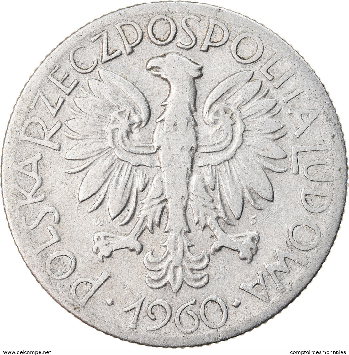 Monnaie, Pologne, 5 Zlotych, 1960, Warsaw, TTB, Aluminium, KM:47 - Polen