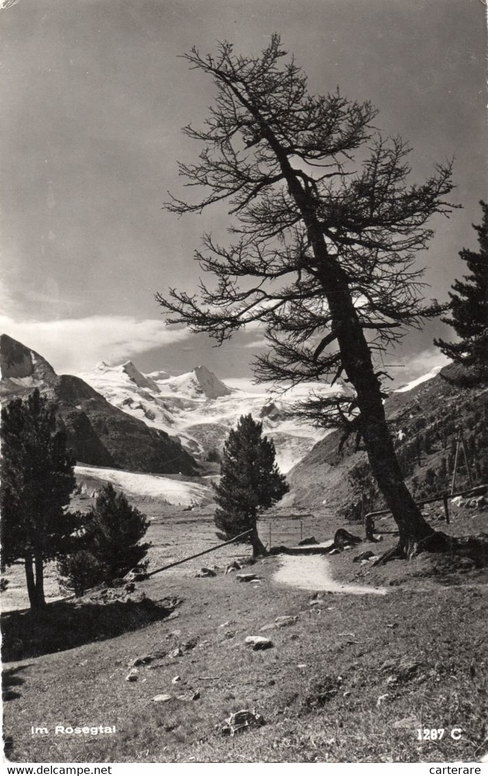 SUISSE,SWITZERLAND,SCHWEIZ,SVIZZERA,HELVETIA,SWISS ,GRISONS,VAL RESEG,ROSEGTAL,HAUTE ENGADINE,RARE,IL Y A 60 ANS - Autres & Non Classés