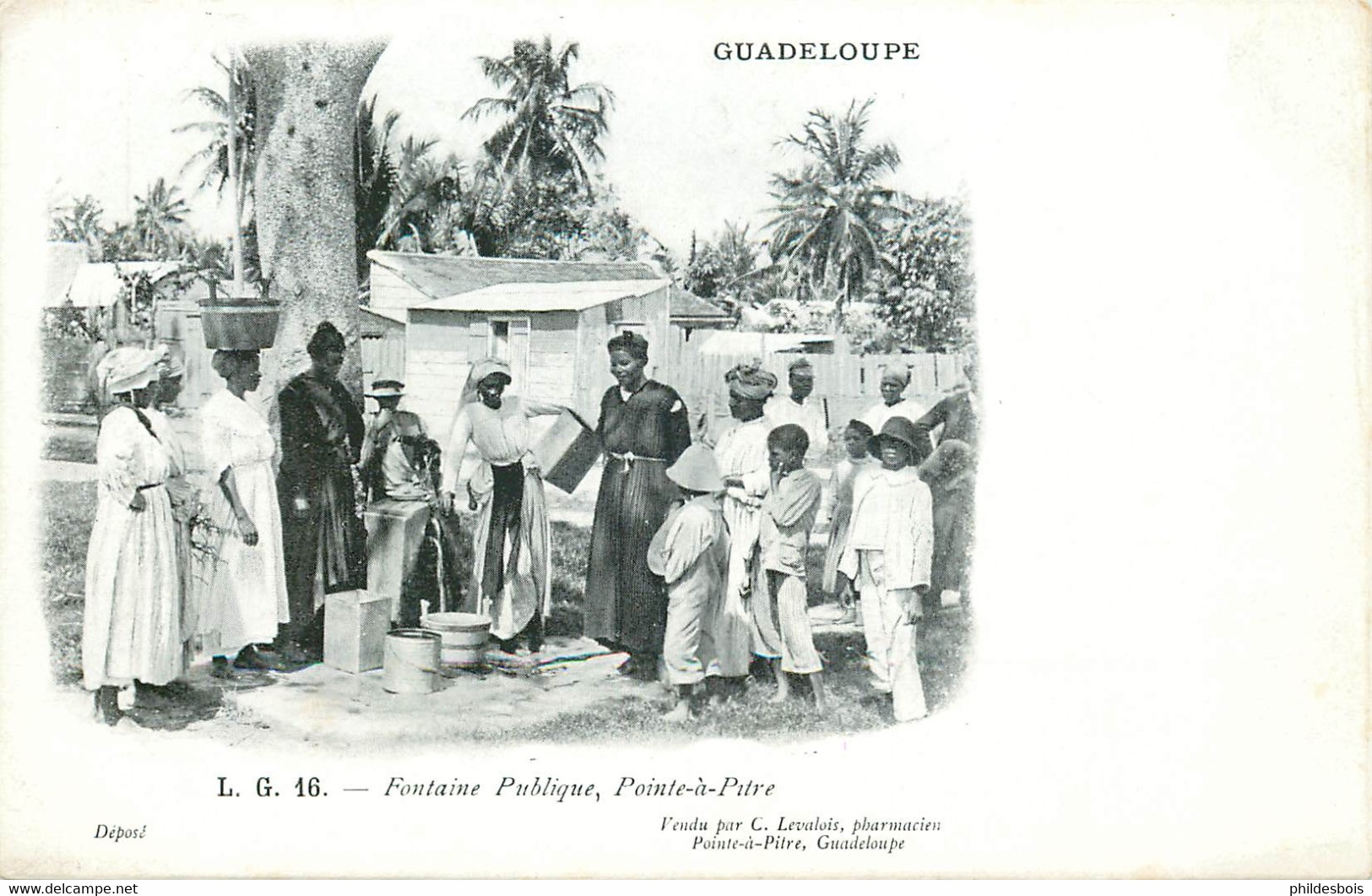 GUADELOUPE  POINTE A PITRE  Fontaine Publique  (Edit C.Levalois) - Pointe A Pitre