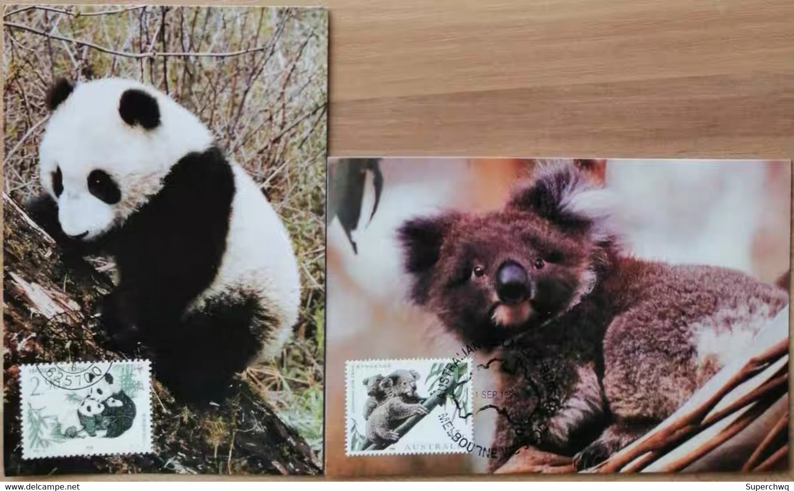 China Maximum Card,1995 MC-23 Panda And Koala (jointly Issued By China And Australia)，2 Pcs - Cartes-maximum