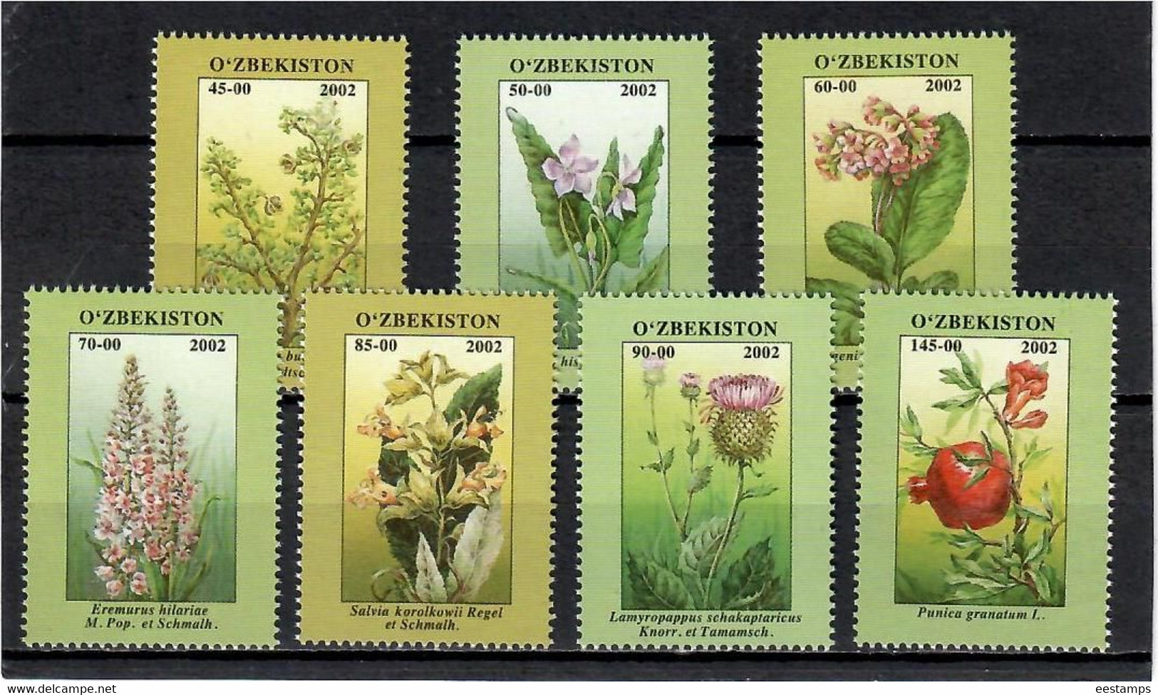 Uzbekistan 2002 . Flowers. 7v. Michel # 434-440 - Usbekistan