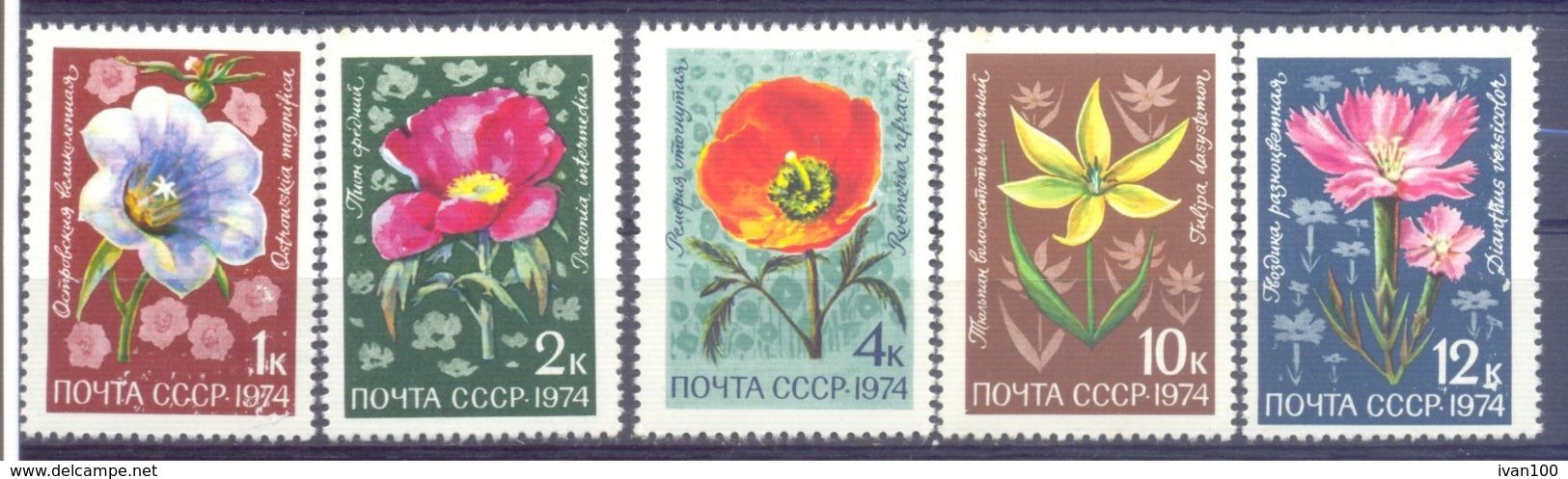 1974. USSR/Russia,.Flowers, 5v,  Mint/** - Unused Stamps