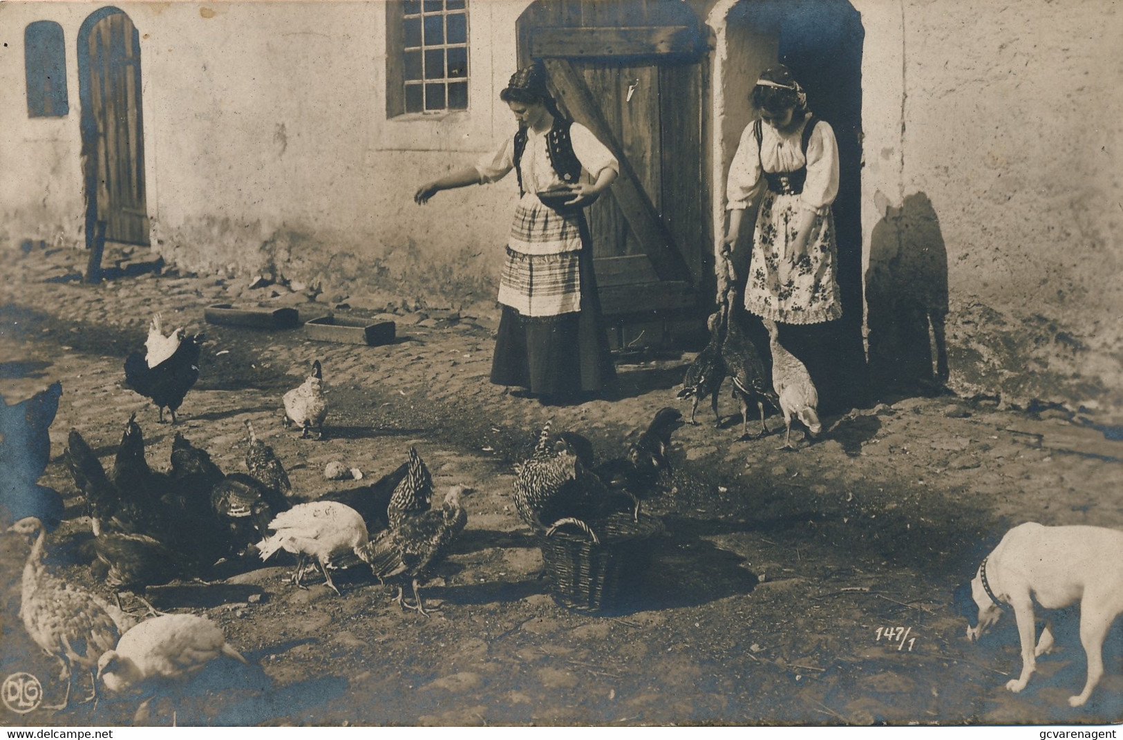 LEVEN BOERDERIJ  KIPPEN TE ETEN GEVEN  PHOTOKAART  1909     2 SCANS - Farmers