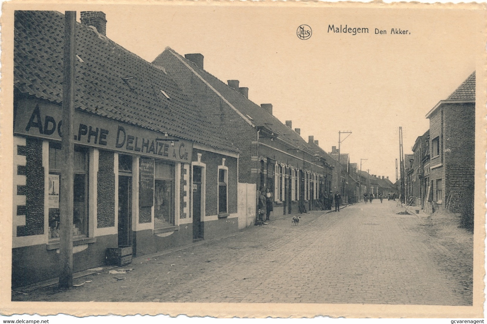 MALDEGEM  - DEN AKKER  LINKS WINKEL  ADOLPHE DELHAIZA & Cie   2 SCANS - Maldegem