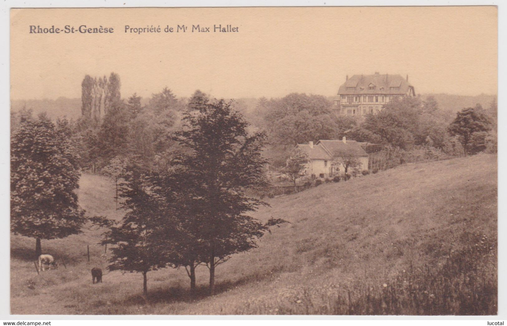 Sint Genesius Rode - Rhode- Propriété De Mr Max Hallet - Eigendom Van Mr Max Hallet - Uitgever Gofflot, Rode - Rhode-St-Genèse - St-Genesius-Rode