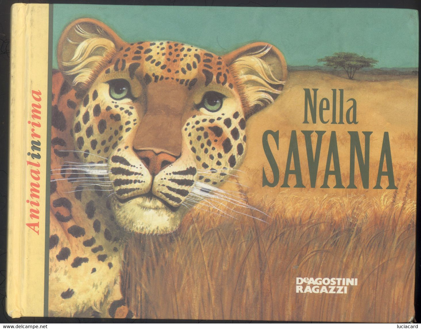 ANIMALI IN RIMA -NELLA SAVANA -ILLUSTRAZIONI PAUL HESS -DE AGOSTINI 1998 - Enfants Et Adolescents