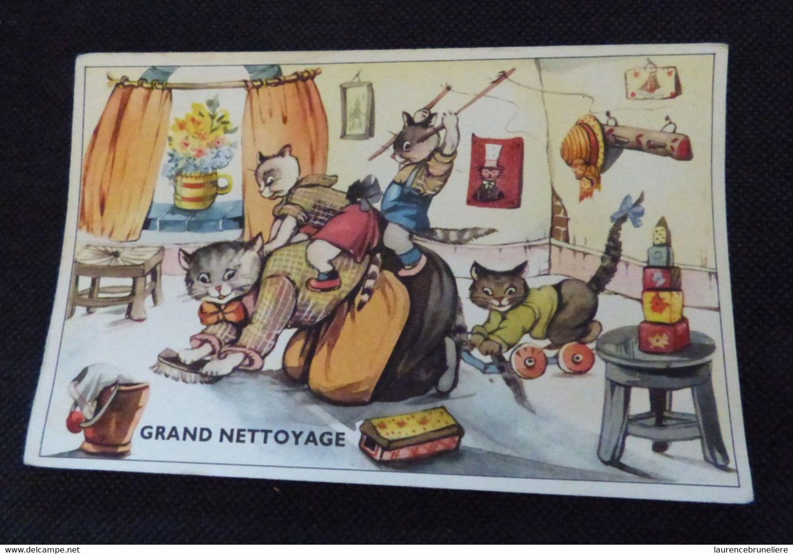 CHATS HUMANISES - GRAND NETTOYAGE - Gatos