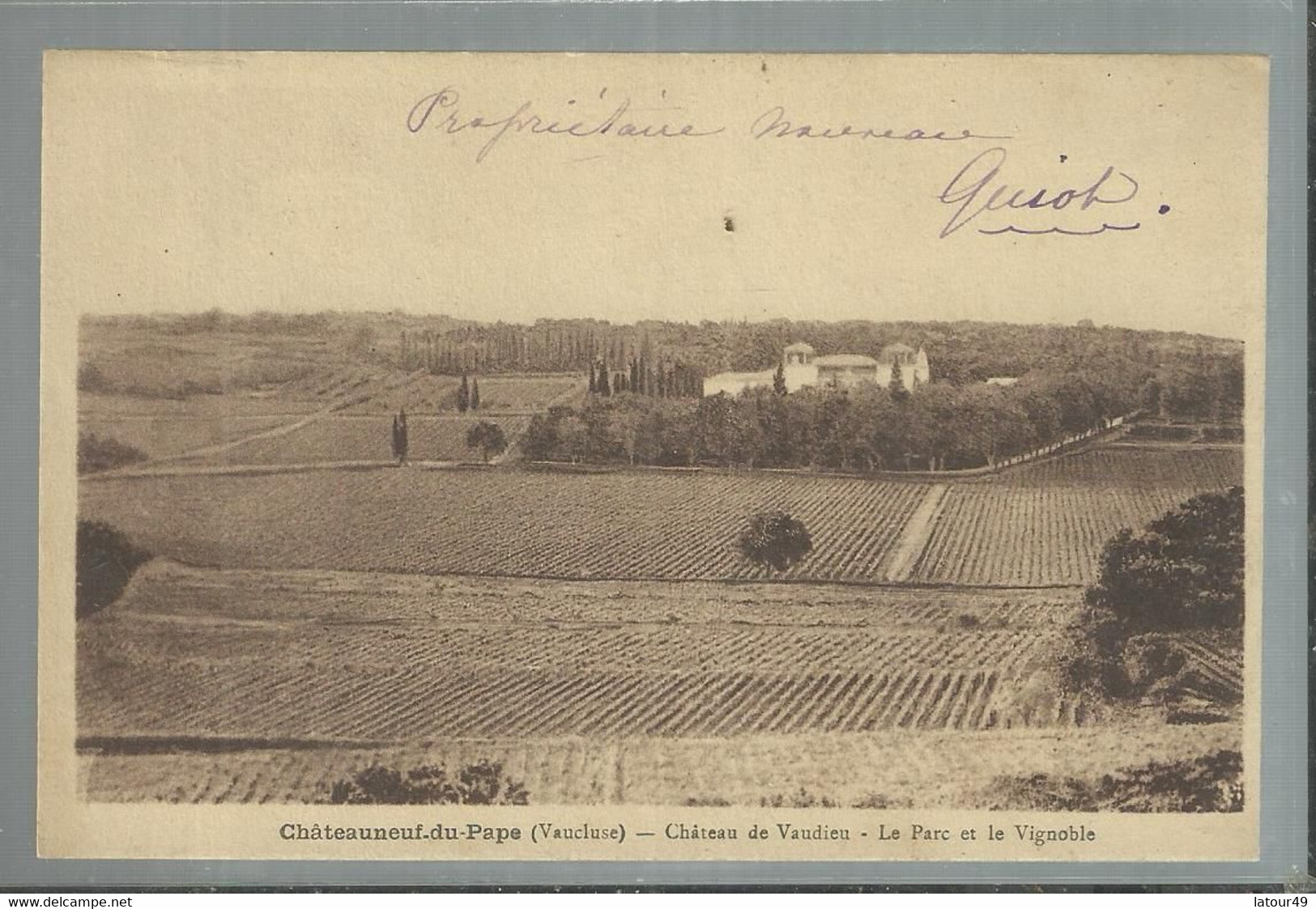 Chateau Neuf Du Pape Chateau De Vaudieu  Le Parc Et Le Vignoble Nouveau Proprietaire Guiot - Chateauneuf Du Pape