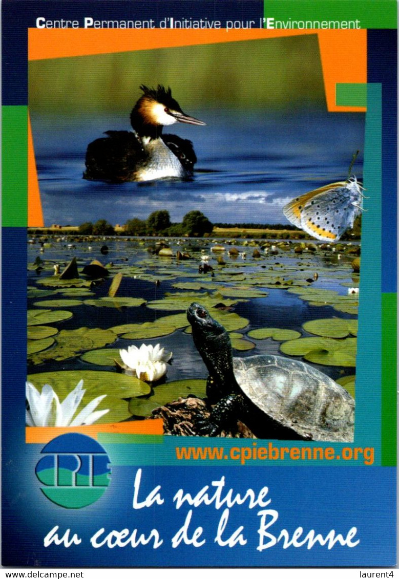 (1 L 45) (OZ/PF) France - Nature - Brenne - (bird & Turtle) - Tortugas