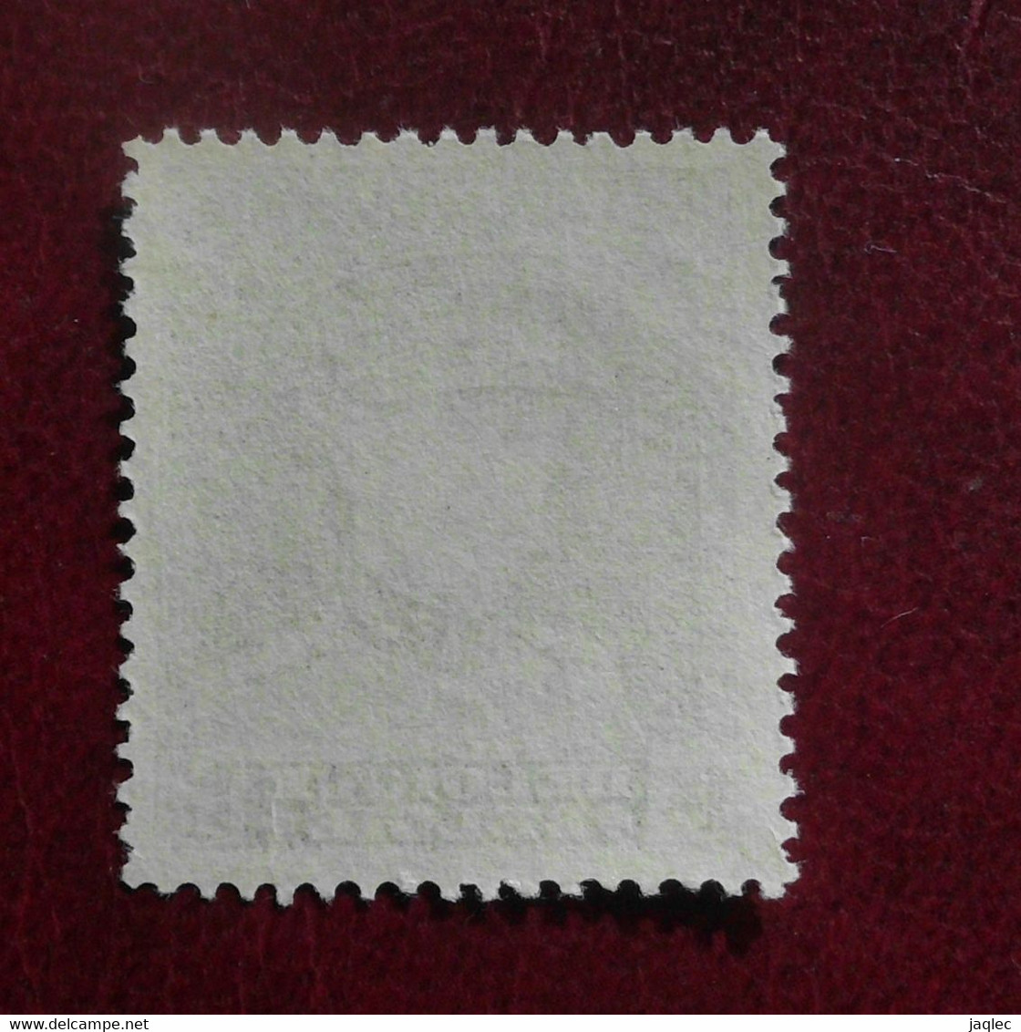 1931 : Cob 318** : "Albert En Casquette"   (sans  Charnière D49 ) Voir Verso - Unused Stamps