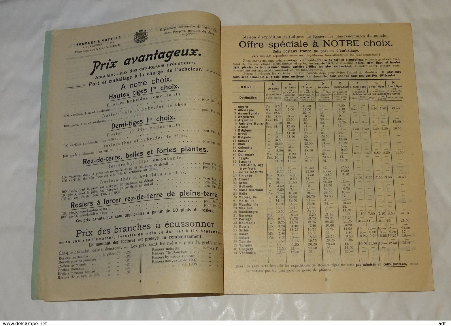 ANCIEN CATALOGUE 1908-1909 SOUPERT & NOTTING, ROSIERISTES A LUXEMBOURG, ROSES, FLEURS, HORTICULTURE - Luxembourg