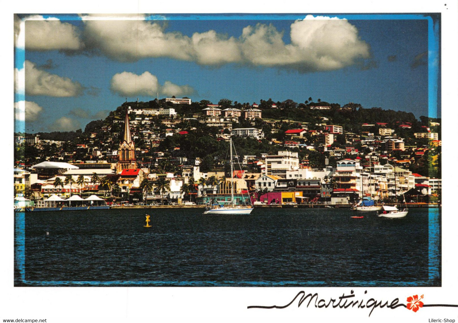 [972] Lot De 4 Cpm Vierges De La Martinique ♥♥♥ - Autres & Non Classés