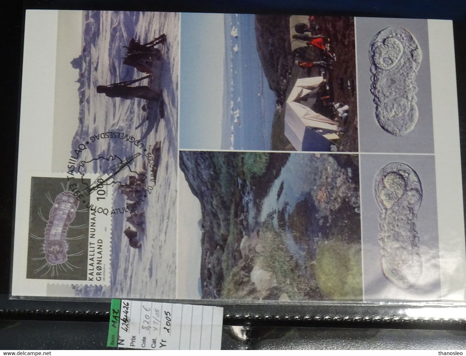 Greenland 2005 Science In Greenland SET Of 3 Maximum Cards VF - Maximumkarten (MC)