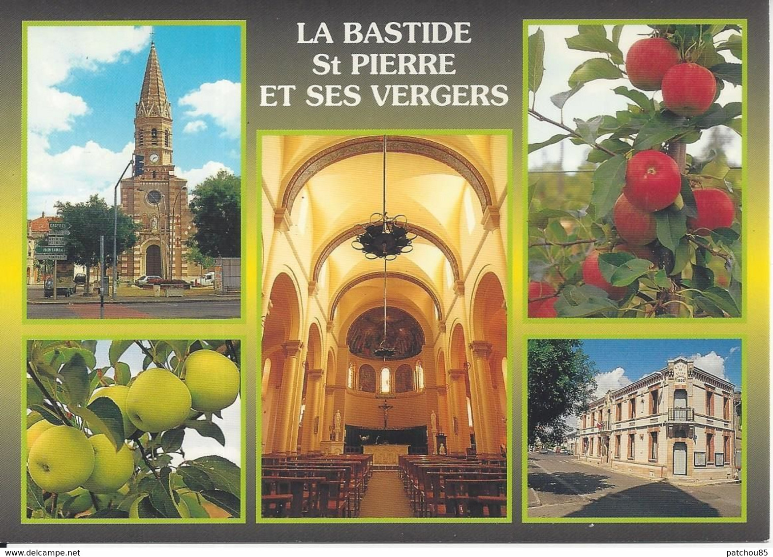 CPM  France   82 Tarn Et Garonne   La Bastide Saint Pierre  Et Ses Vergers  Vue Multiple - Labastide Saint Pierre