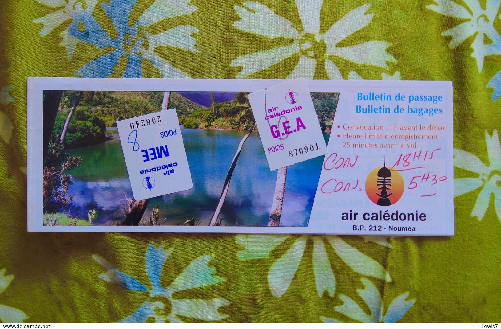 Airline Ticket Air-Caledonie - Tickets