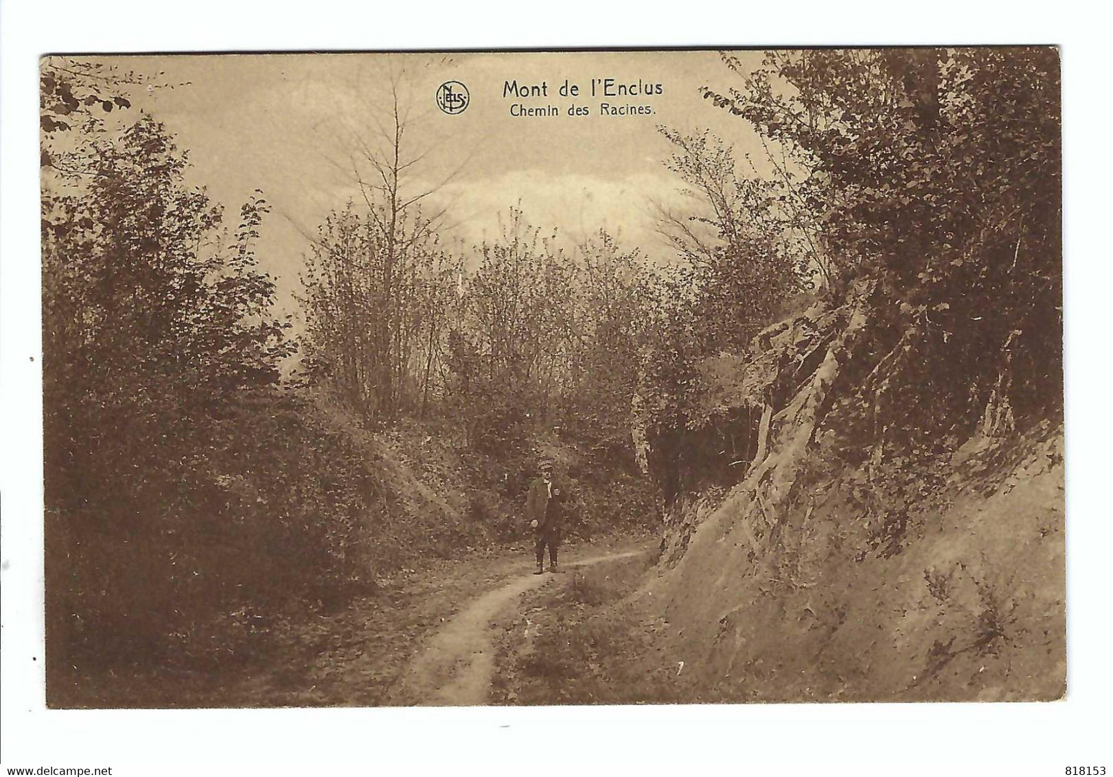 Mont De L'Enclus  Chemin Des Racines - Kluisbergen