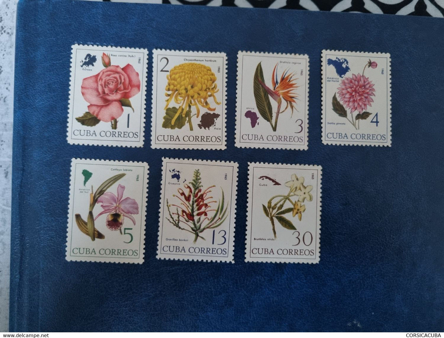 CUBA  NEUF  1965    FLORES  CONTINENTALES  // 1er  CHOIX  // Sans  Gomme. - Nuevos