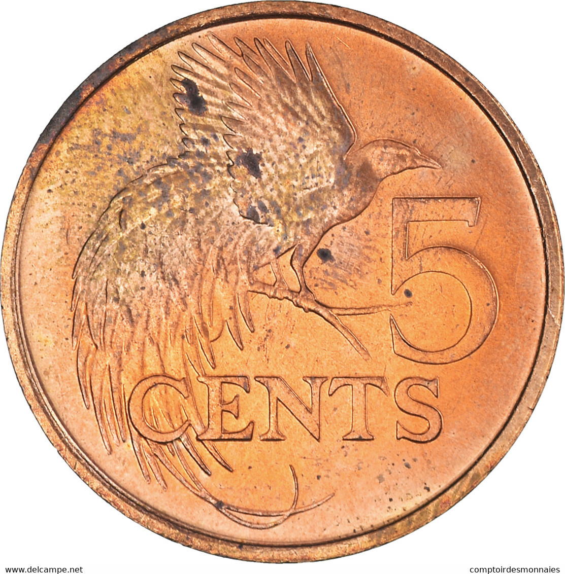 Monnaie, Trinité-et-Tobago, 5 Cents, 1992, TTB+, Bronze, KM:30 - Trinidad & Tobago
