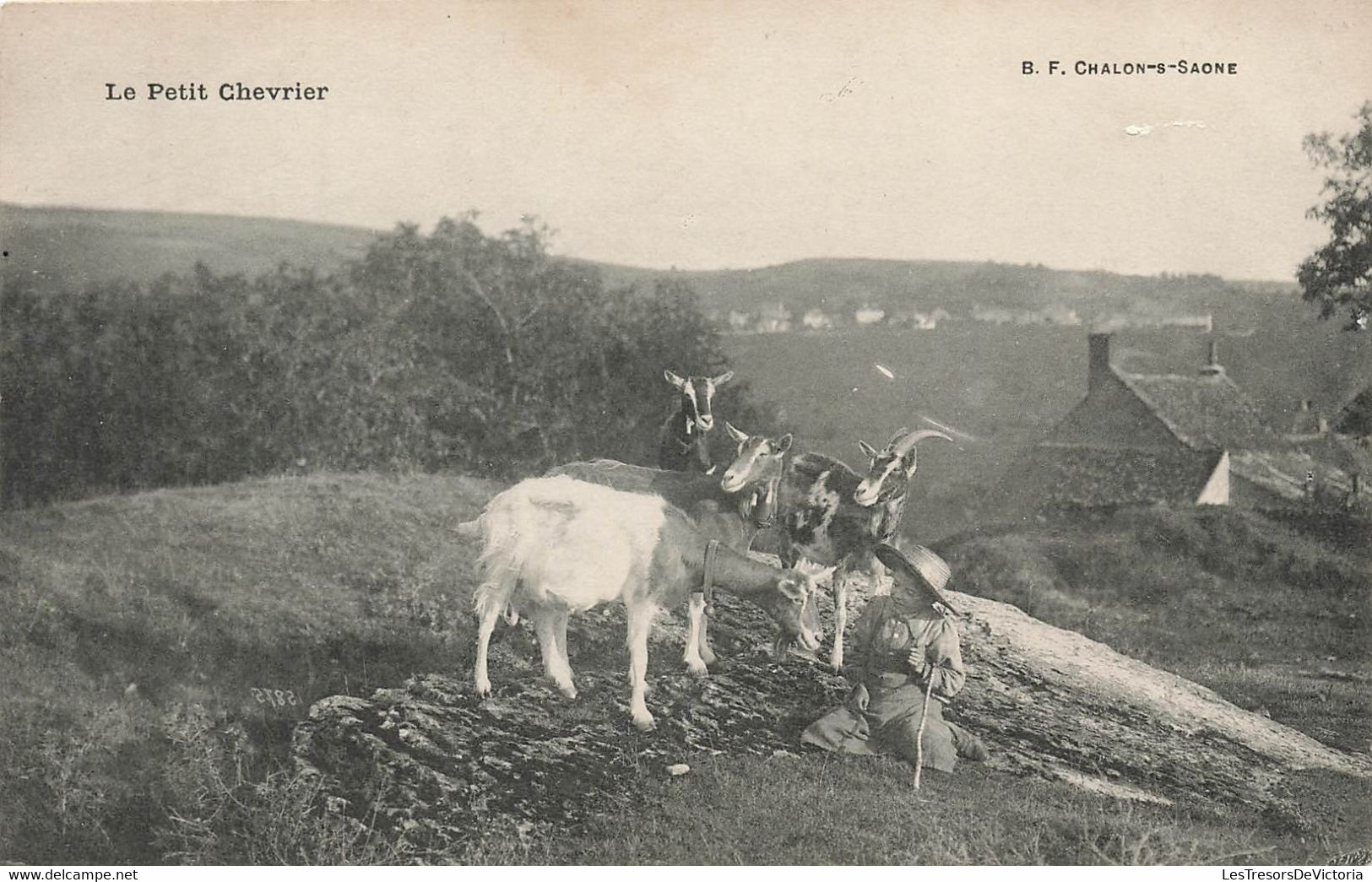 CPA Metier - Le Petit Chevrier - Chalon Sur Saone - Chevres - Campesinos