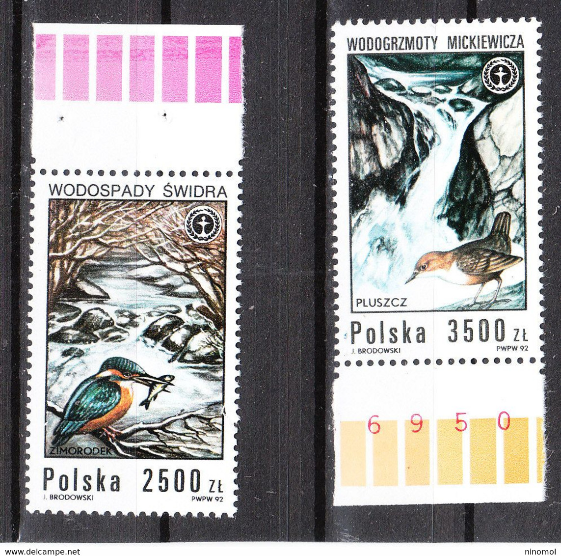 Polonia   Poland -   1992. Martin Pescatore E Cascata.Kingfisher And Waterfall. MNH - Passeri