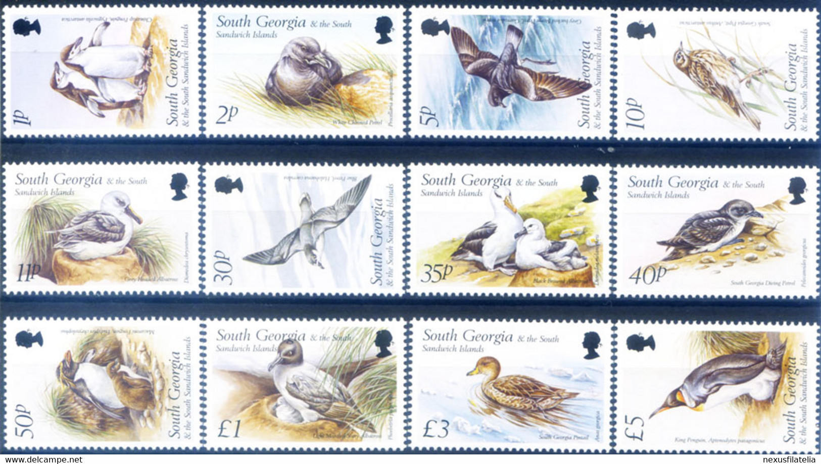 South Georgia. Definitiva. Uccelli 1999. - Falklandeilanden