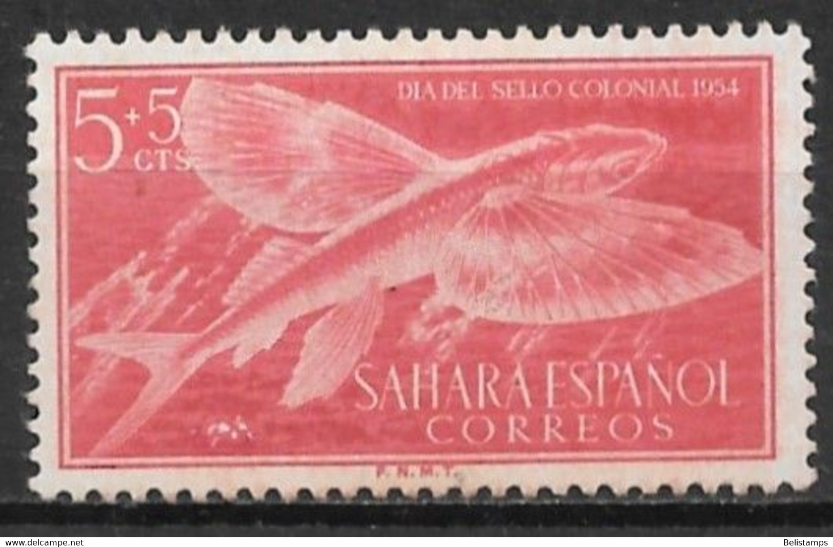 Spanish Sahara 1954. Scott #B31 (MH) Atlantic Flyingfish - Sahara Español