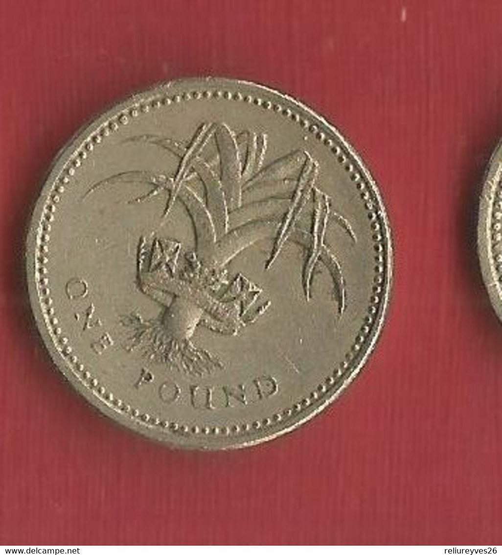 G.B. , 2 Pièces De Monnaies , 1 Pound , 1983, - 1 Pound
