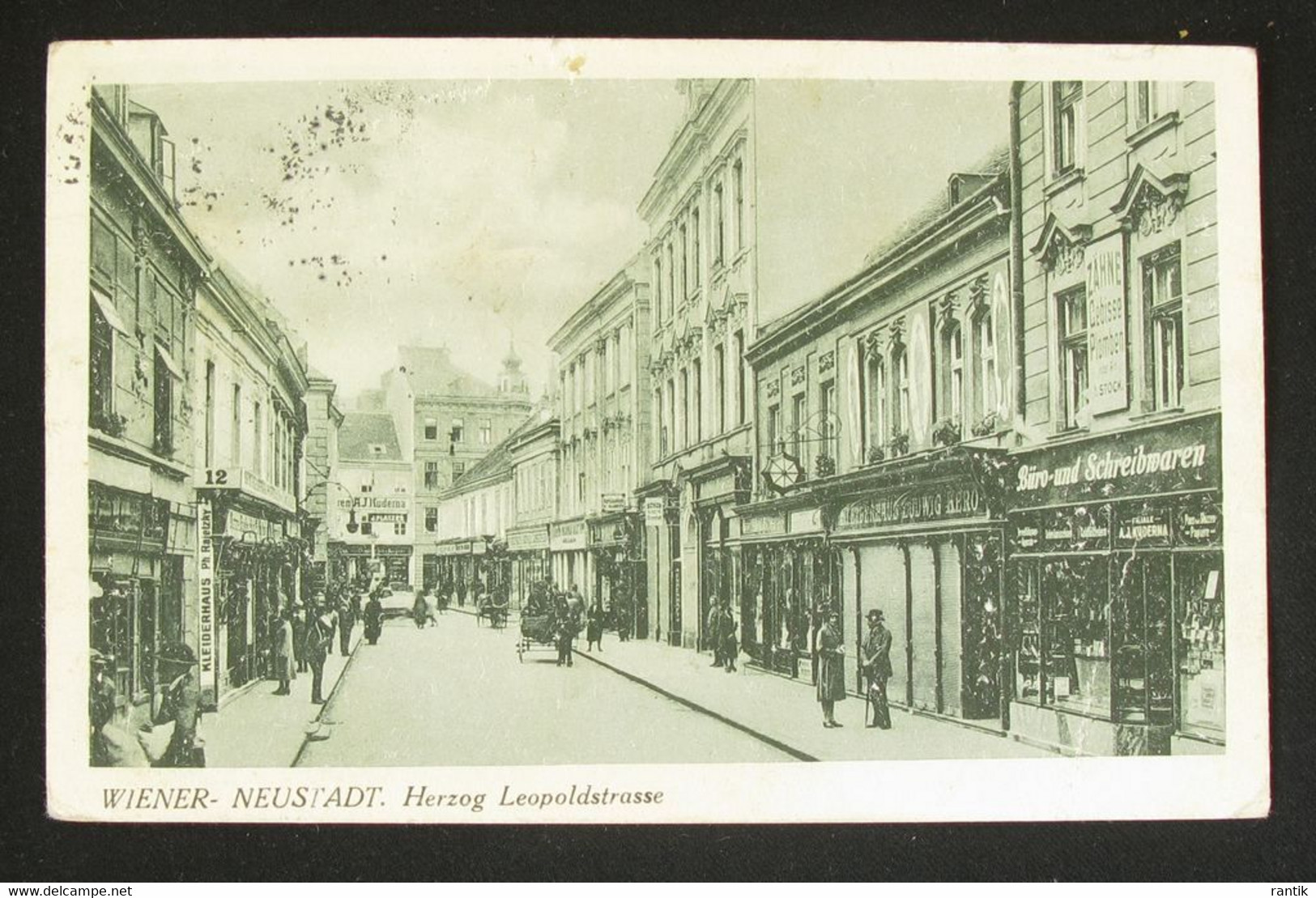 WR.NEUSTADT  Herzog Leopoldstrasse - Wiener Neustadt