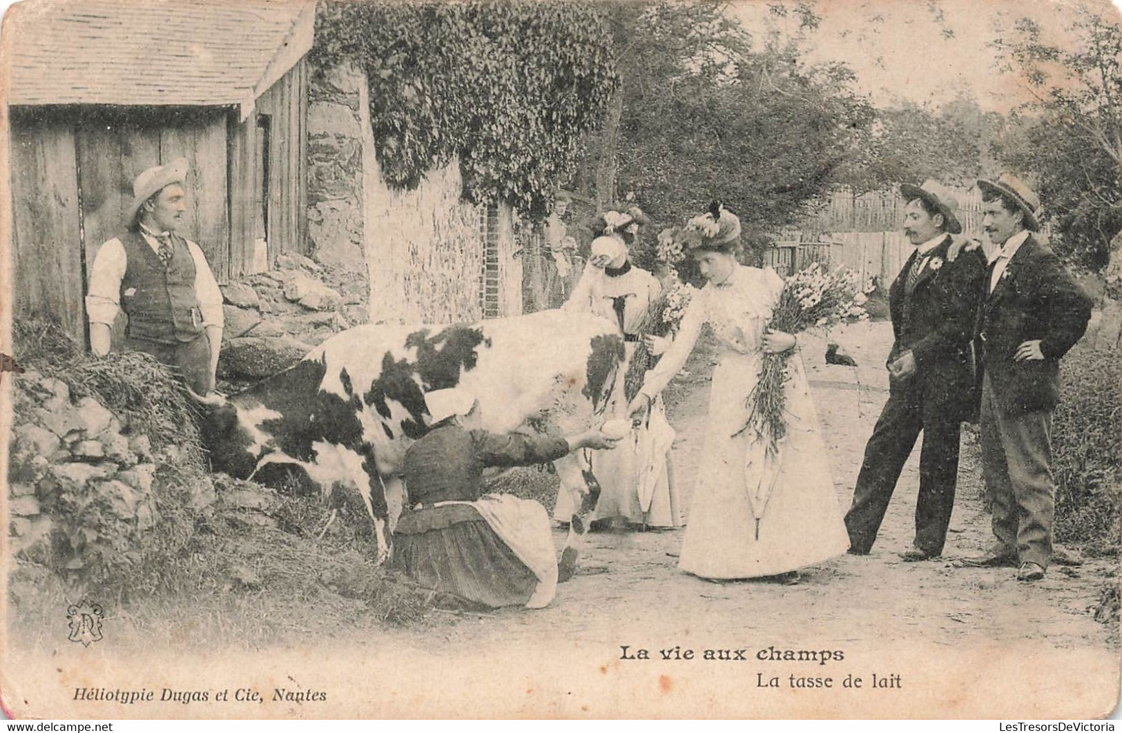 CPA La Vie Aux Champs - Agriculture - La Tasse De Lait - Vache - Crías