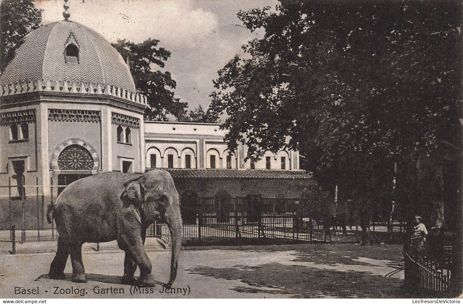 CPA Basel - Zoolog - Garten - Miss Jenny - Eléphant - Zoo - Elefanti