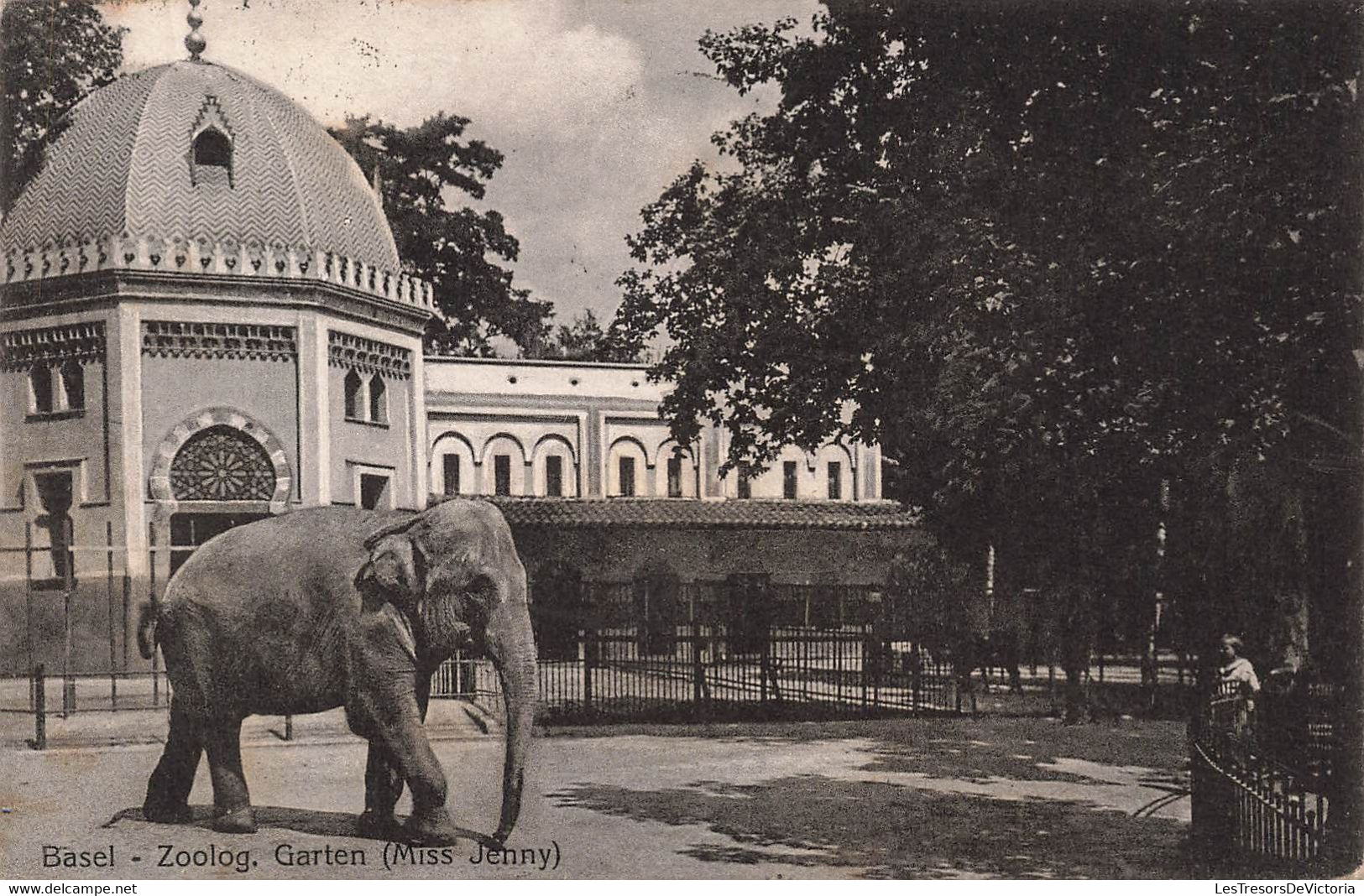 CPA Basel - Zoolog - Garten - Miss Jenny - Eléphant - Zoo - Elefanten