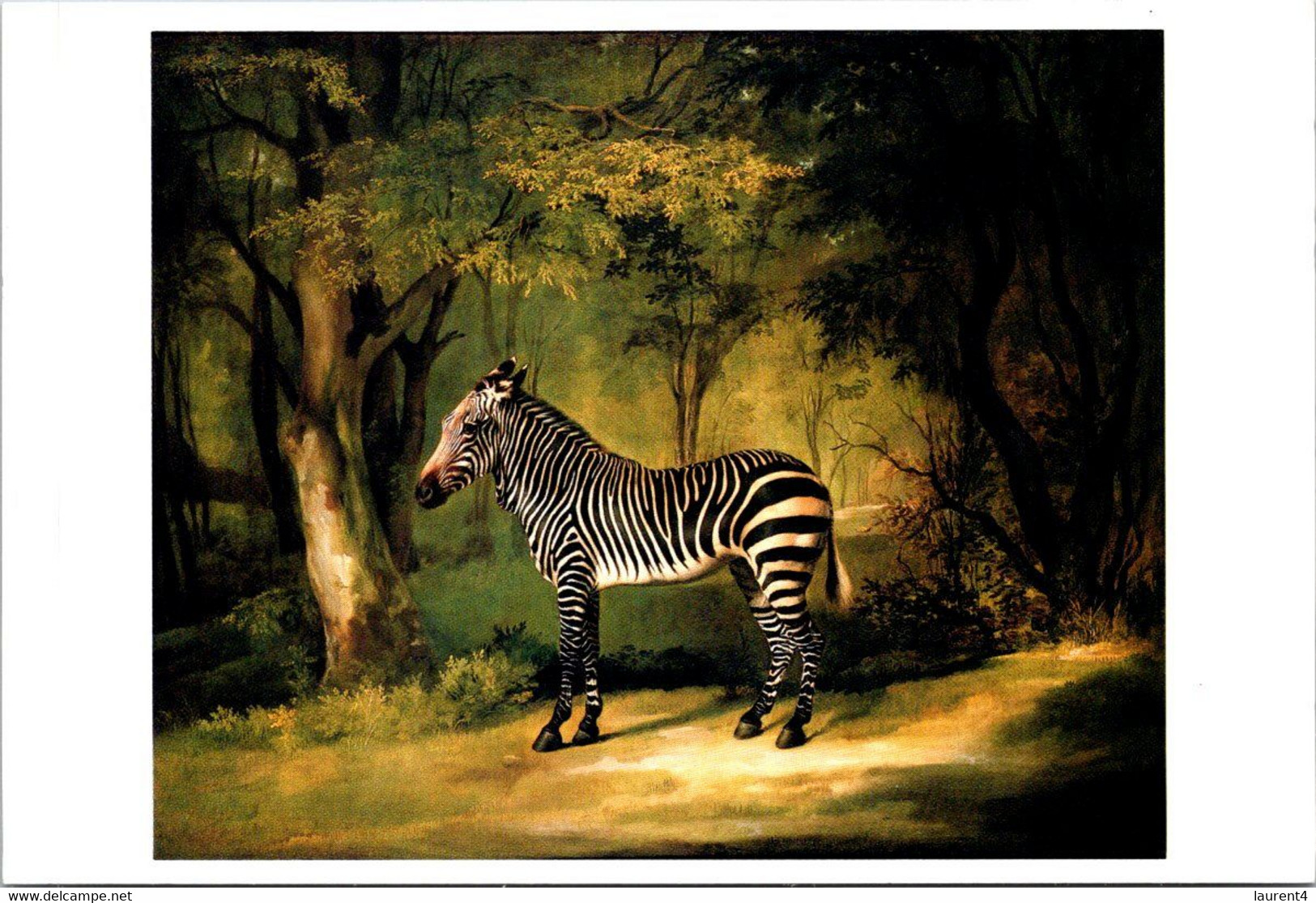 (1 L 50) (OZ/PF) Art - Zebra By George Stubbs - Zebre