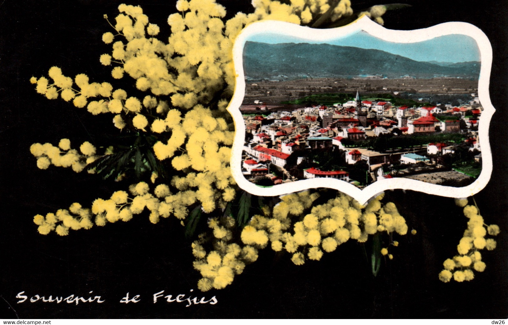 Souvenir De Fréjus (Var, Côte D'Azur) Avec Mimosa - Editions MAR - Carte N° 10790 Bis - Souvenir De...