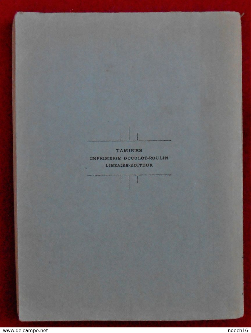 Guerre 14-18 La Tragédie De Tamines, 2ème édition Avec Plan Du Quartier, Illustré Par Des Cartes Postales Anciennes - Guerre 1914-18