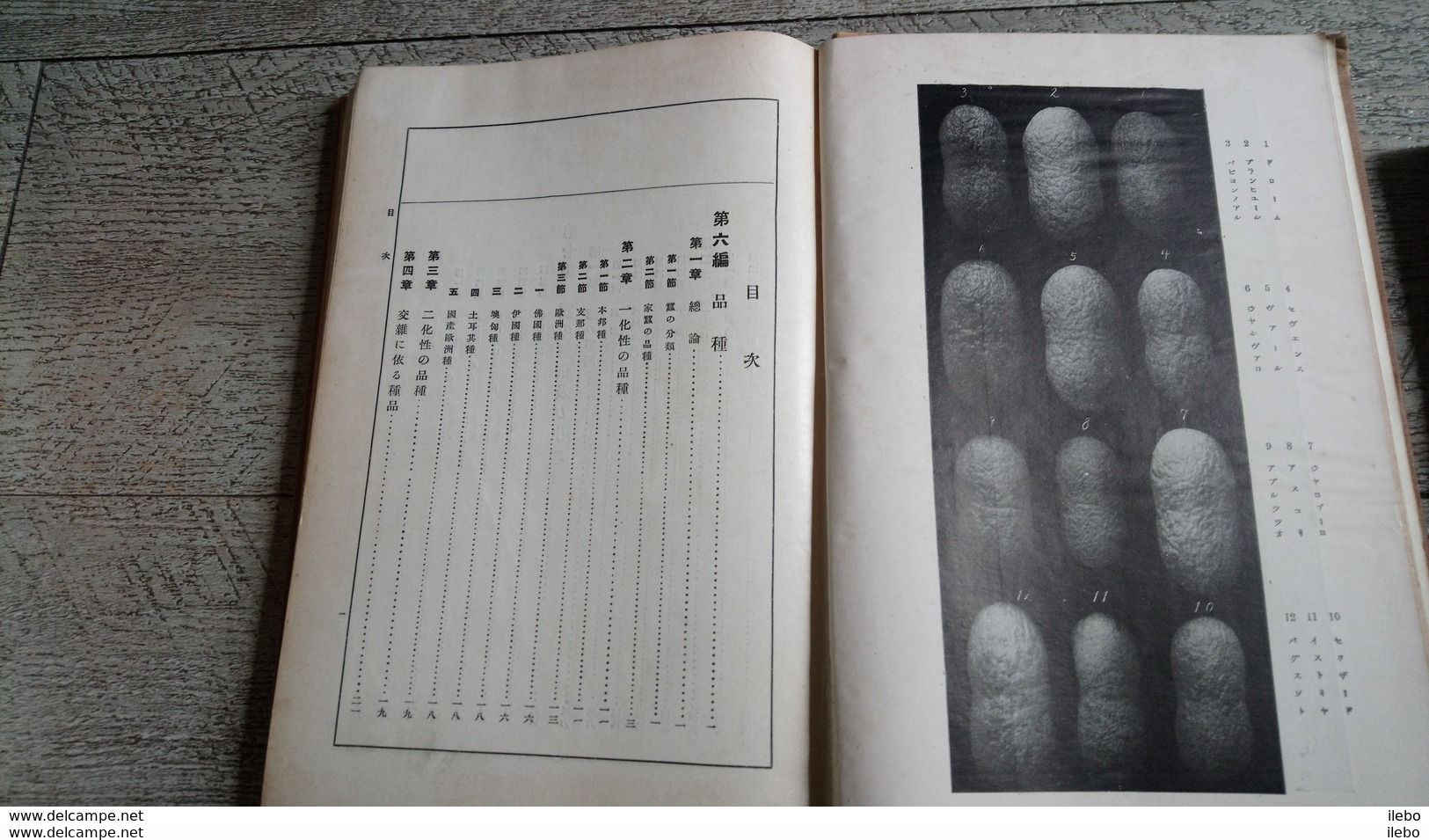 A Text Book Of Sericology Yoshimaro Tanaka Soie Silk Silkworm Japan Japanese Rare 1928 Japon Sericologie - Pratique