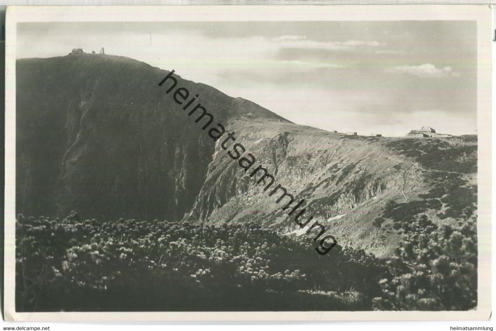 Riesengebirge - Schneekoppe Mit Schlesierhaus - Verlag Wenzel & Sohn Krummhübel - Foto-AK Ca. 1930 - Schlesien