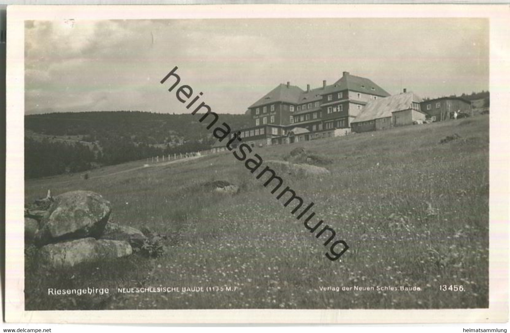 Riesengebirge - Neue Schlesische Baude - Verlag Neue Schlesische Baude H. Adolph - Foto-AK Ca. 1930 - Schlesien