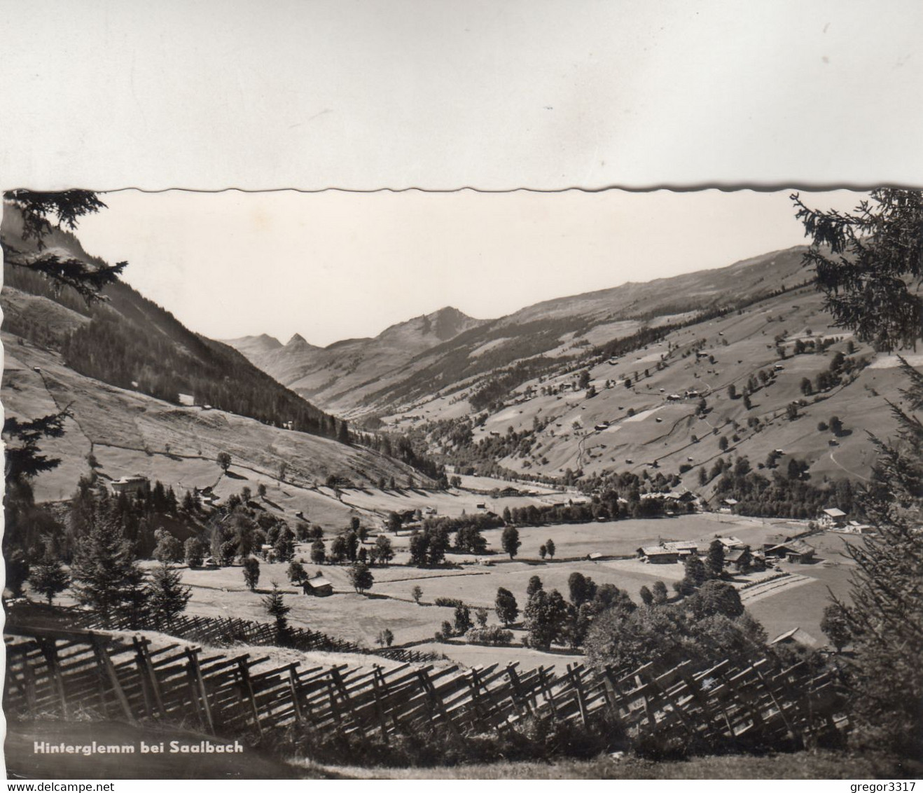 B7650) HINTERGLEMM Bei SAALBACH - Dünn Besiedelt über Holzzaun Gesehen ALT - Saalbach