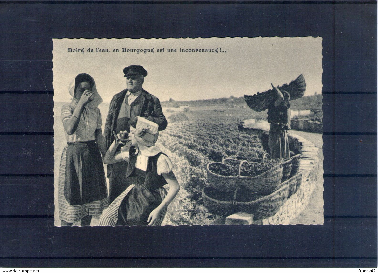 Boire De L'eau En Bourgogne Est Une Inconvenance. Cpsm Grand Format - Vignes