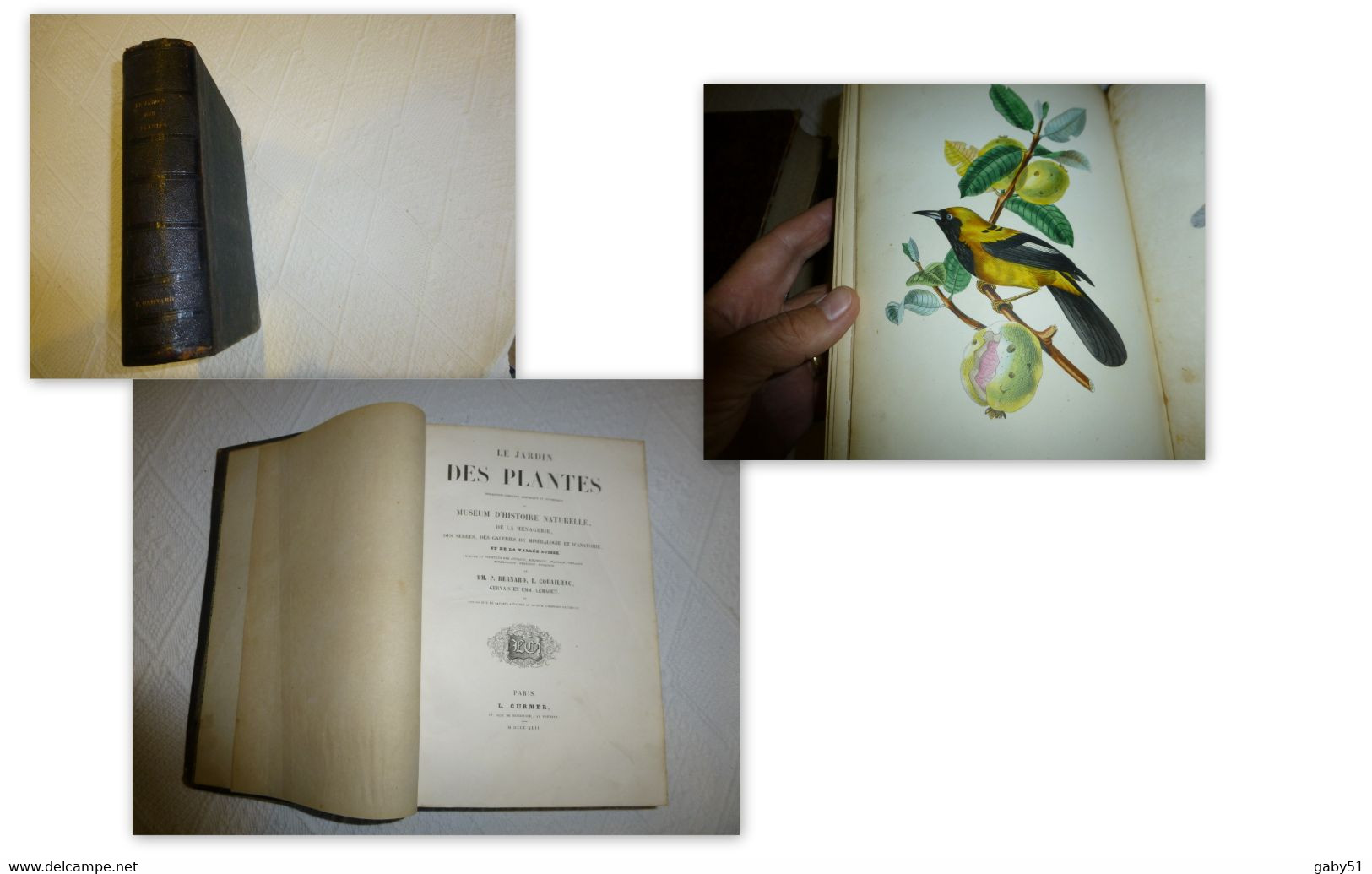 Livre D'art RARE: Le Jardin Des Plantes, Edit Curmer 1842, Superbes Illustrations  ; L09 - Lots De Plusieurs Livres