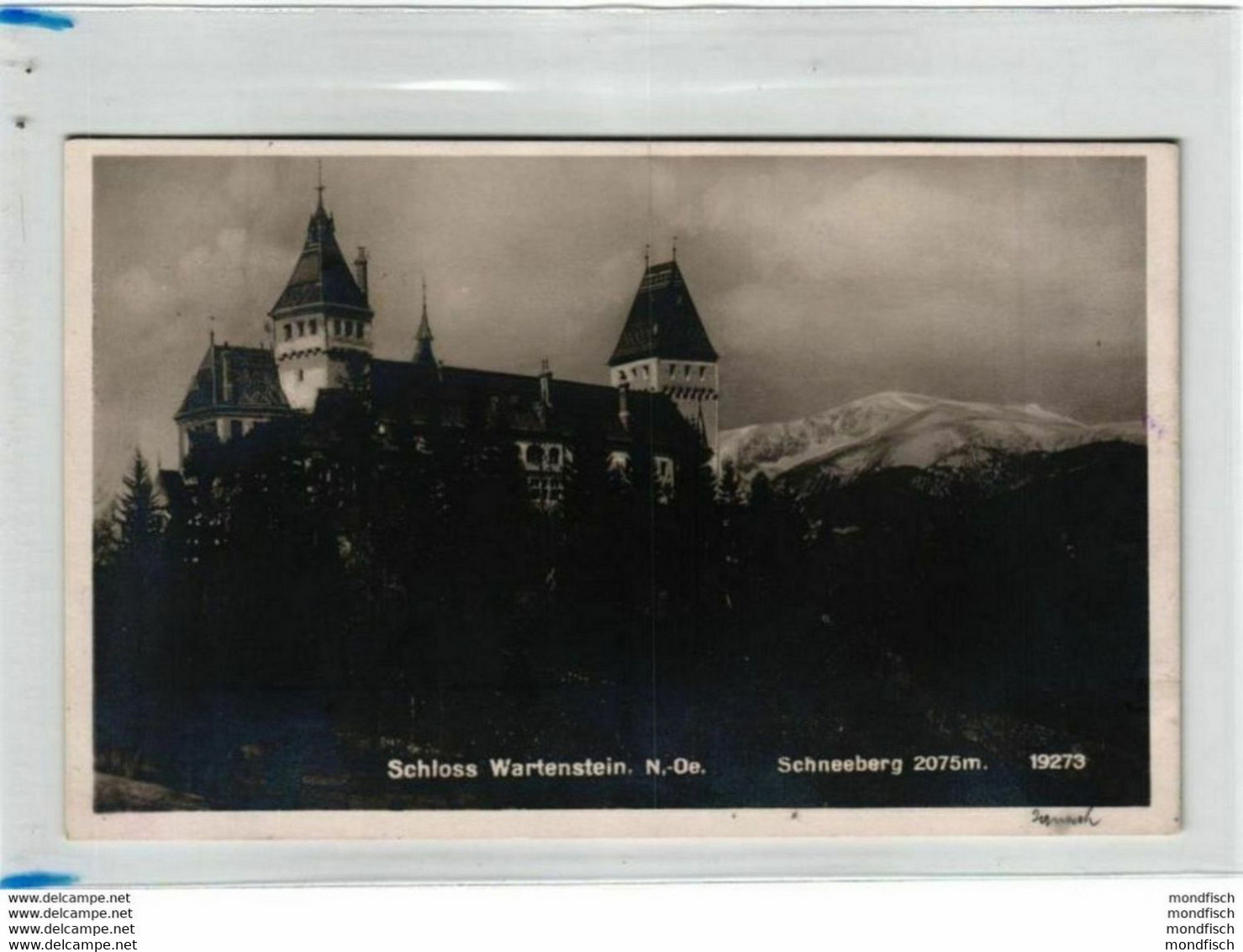 Schloss Wartenstein 1928 - Schneeberg - Raach Am Hochgebirge - Schneeberggebiet
