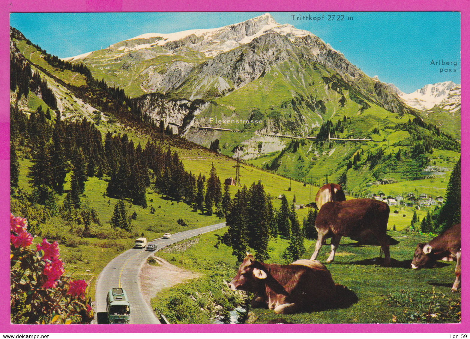 281153 / Austria Stuben Arlbergstrasse, Vorarlberg , Flexenstrasse Arlberg Pass Trittkopf Cattle COW PC Österreich - Stuben