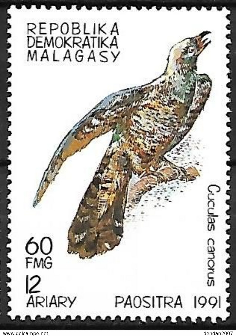 Malagasy (Madagascar) : MNH ** 1991 :    Common Cuckoo  -  Cuculus Canorus - Cuckoos & Turacos