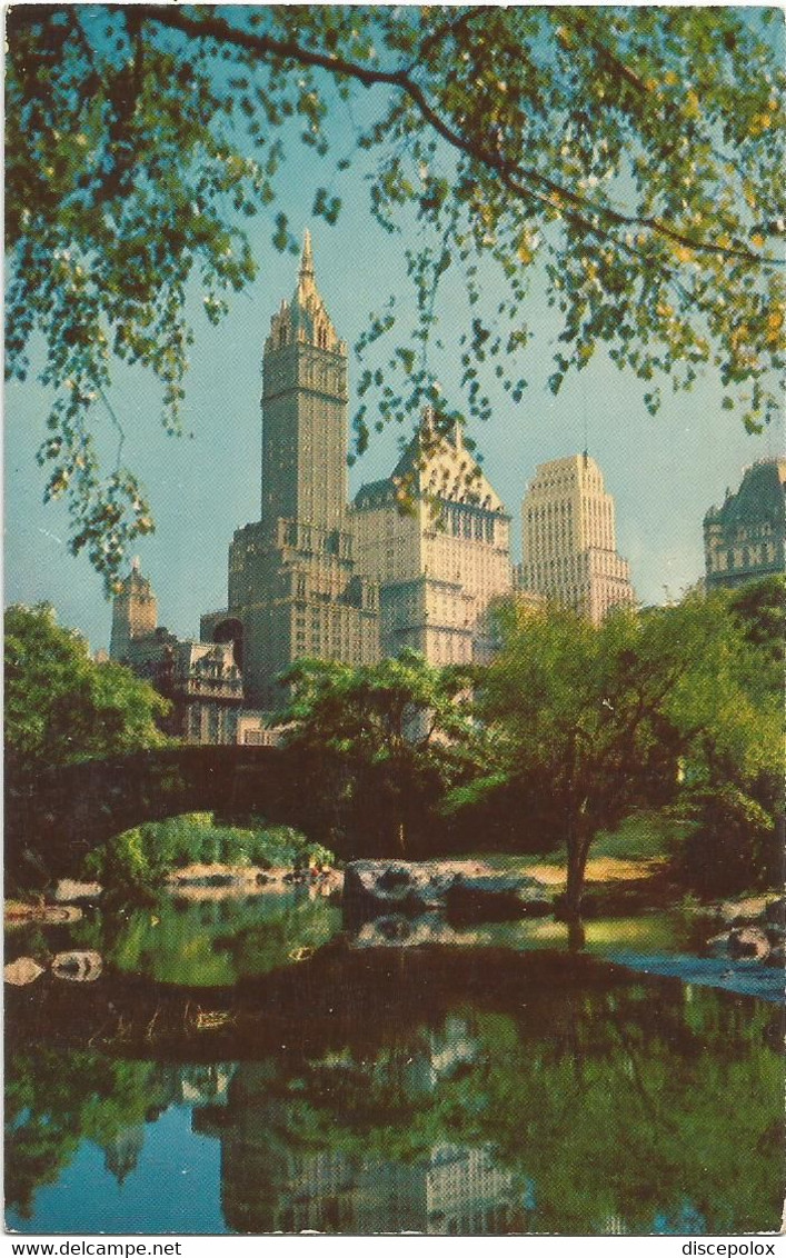 AC2621 New York - Central Park And Fifth Avenue Hotels / Non Viaggiata - Central Park