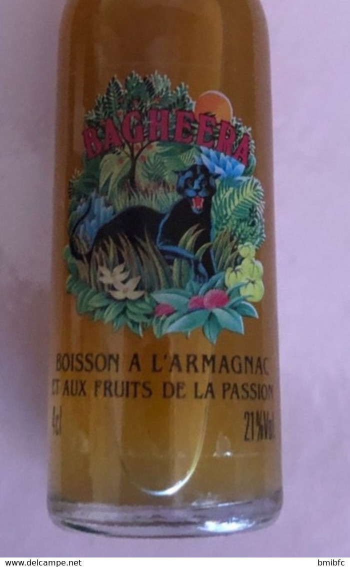 BAGHEERA  Boisson à L'Armagnac  Et Aux Fruits De La Passion - 4cl - 21% Vol. - Miniflesjes
