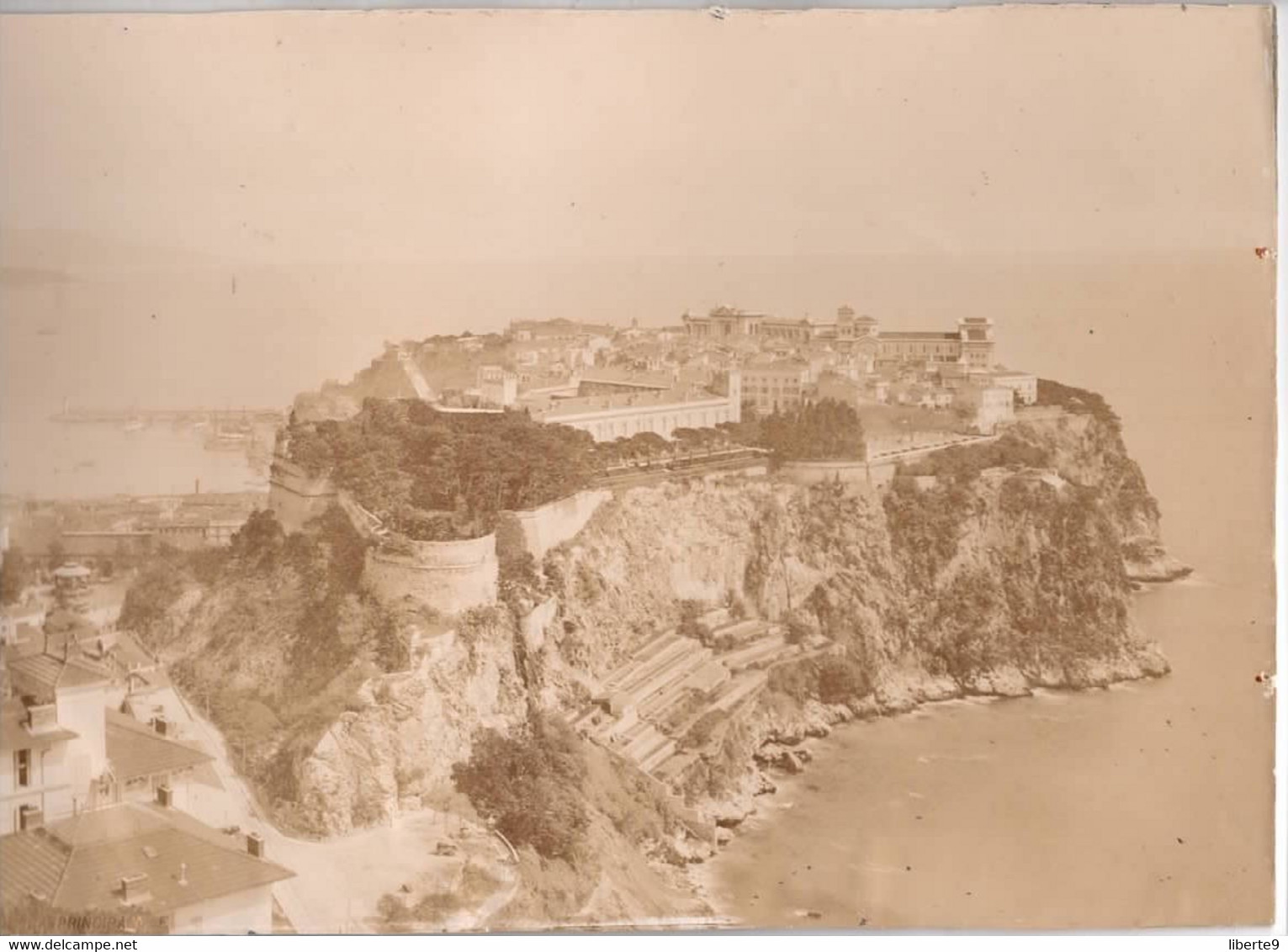 Principaué De Monaco C.1890 Panorama - Grande Photo Sur Carton 21x56cm - Old (before 1900)