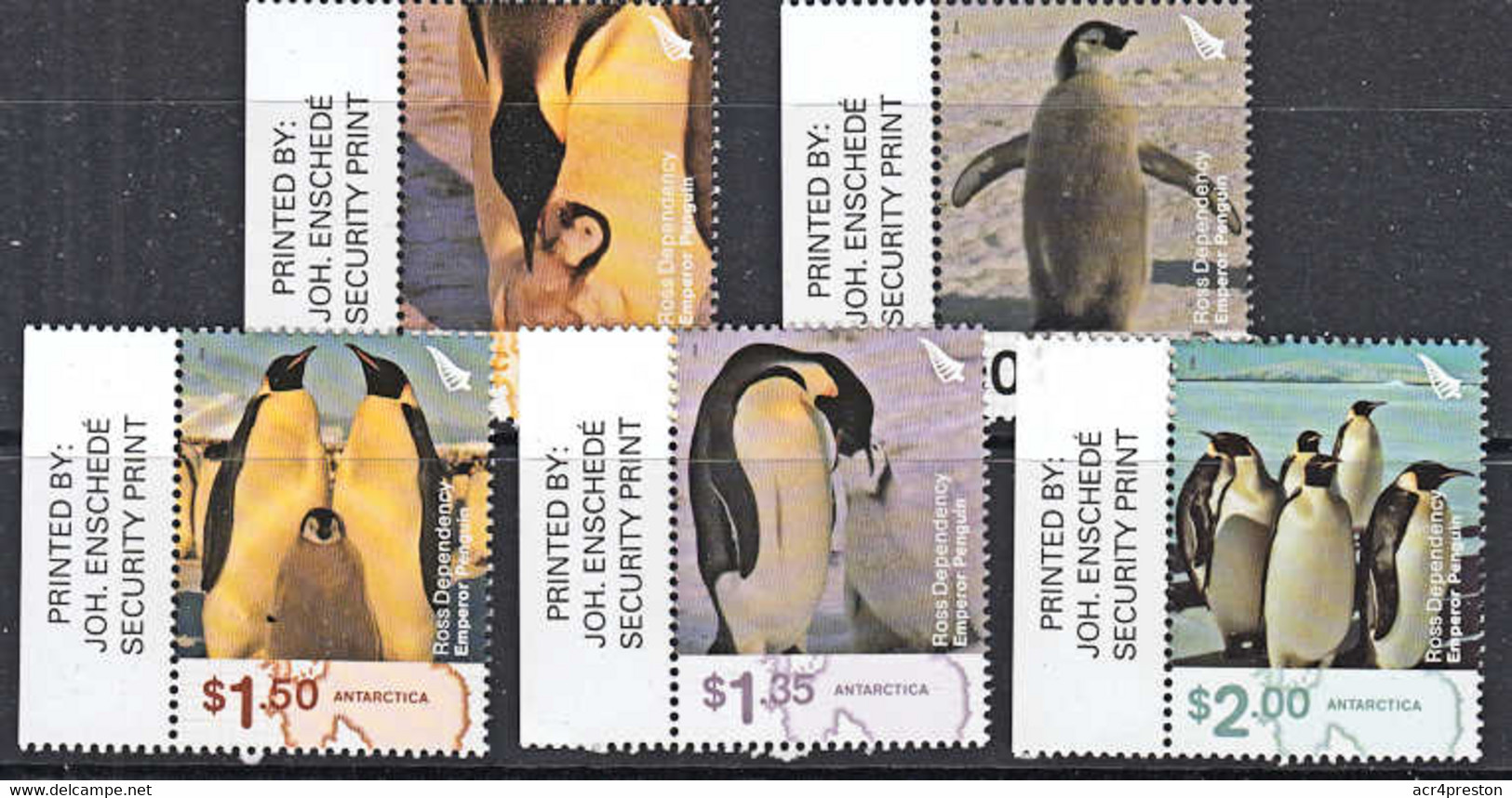 D5004 ROSS DEPENDENCY 2004, SG 89-93  Emperor Penguin, Marginal Set MNH - Usados