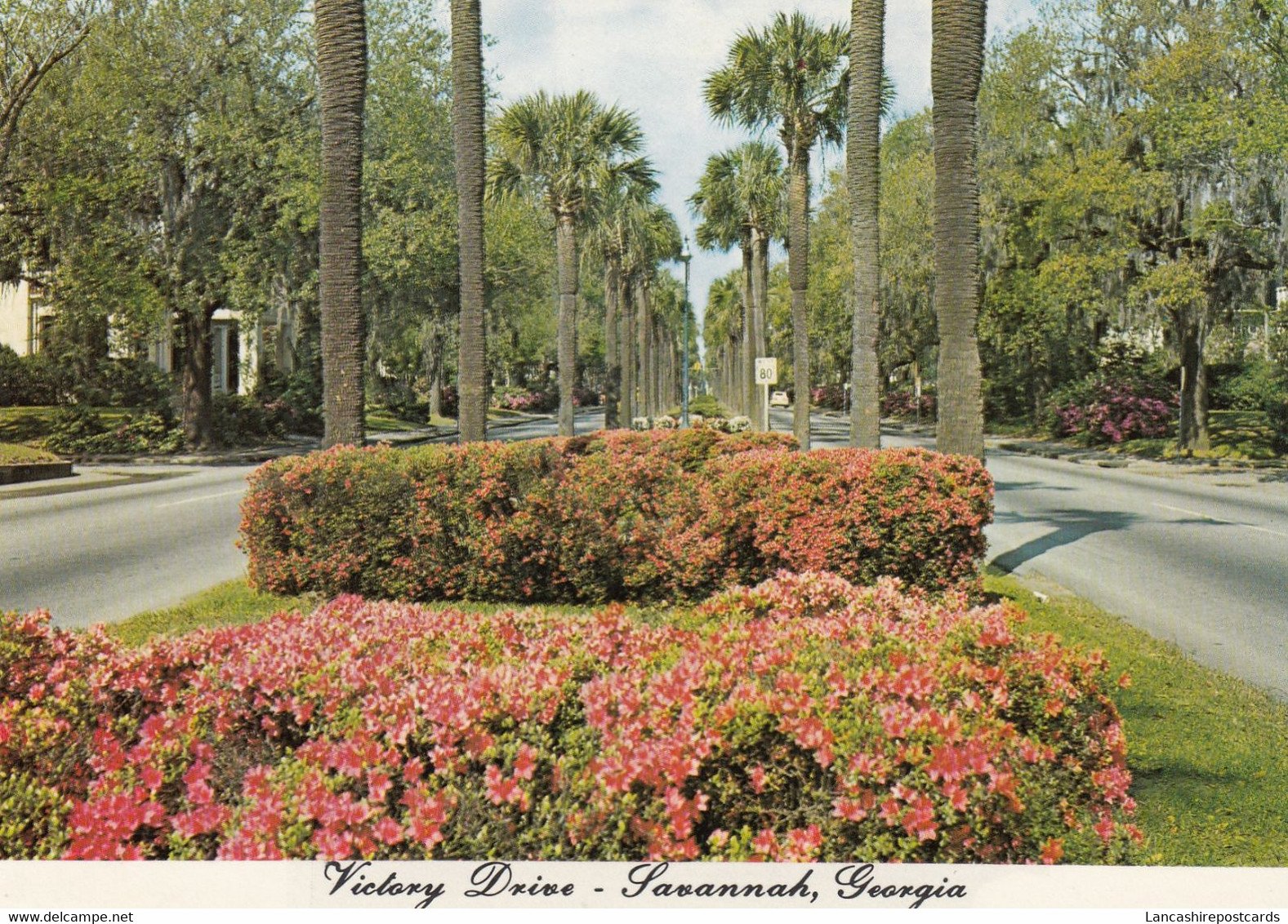 Postcard Victory Drive Savannah Georgia My Ref B25722 - Savannah